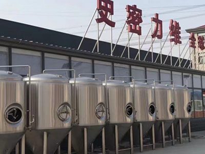 白马井镇精酿啤酒设备厂—如何判断精酿啤酒设备的密封件需要更换？